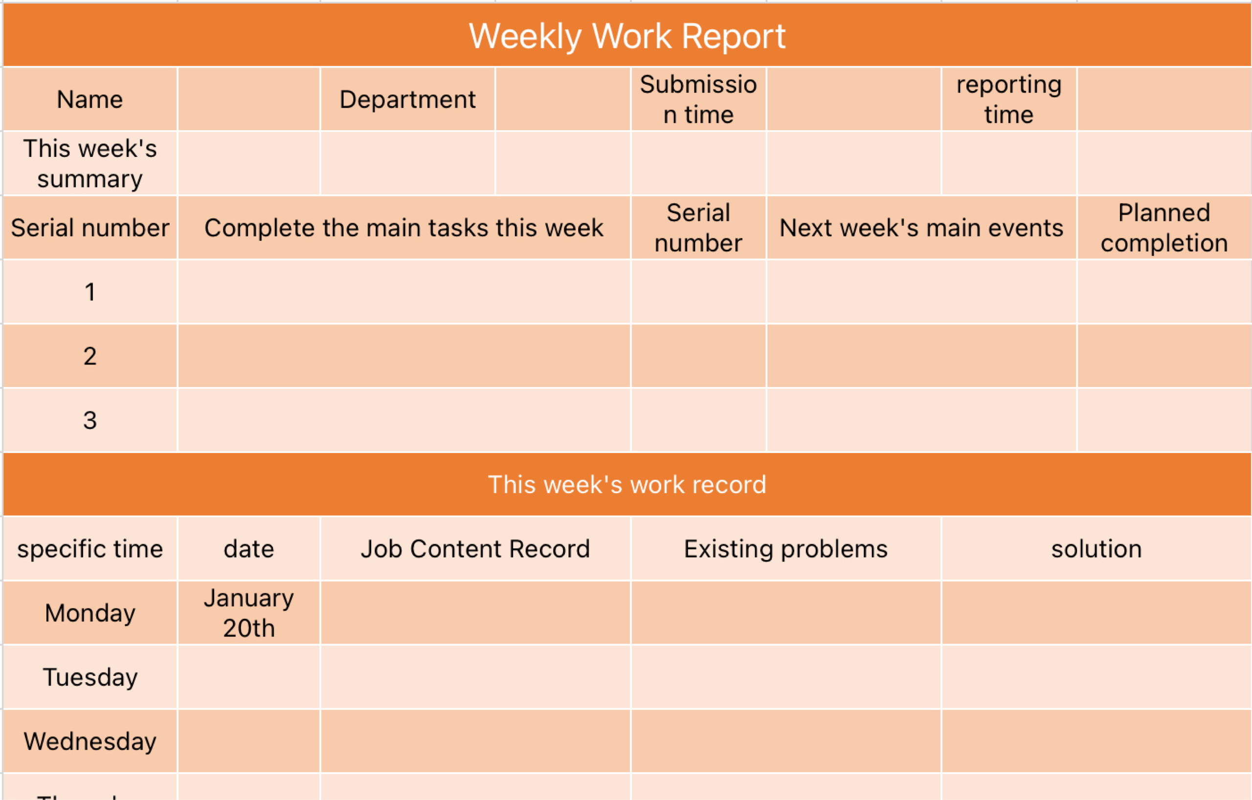 Weekly Work Report
